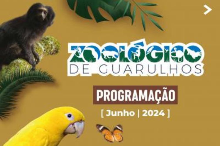 Zoológico tem inscrições abertas para oficinas de miniterrário e vivência na Mata Atlântica