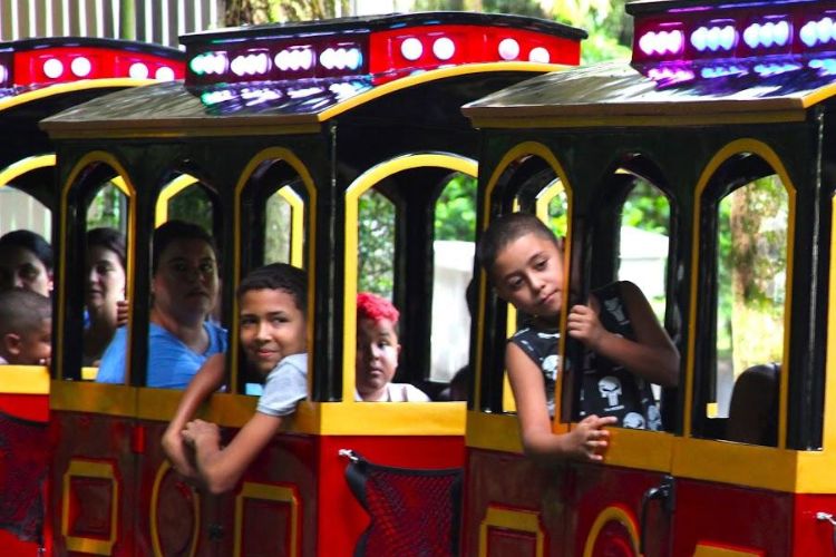 Passeios em trenzinho elétrico encantam famílias no Jardim Botânico de Santos