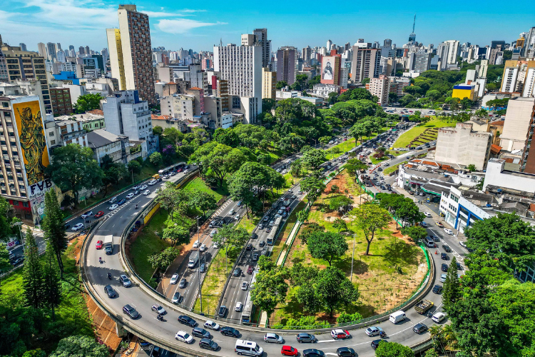 Prefeitura anuncia 50 bosques urbanos, plantio de 120 mil árvores e transplante de espécies adultas