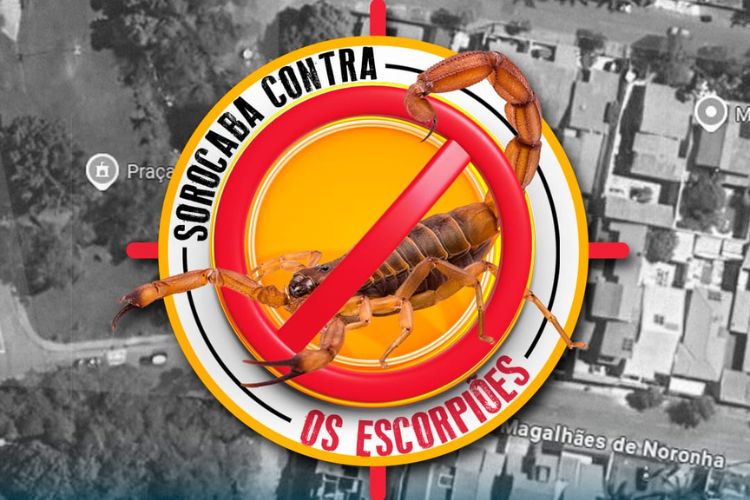 Prefeitura realiza ação de combate aos escorpiões nesta quinta-feira (20) no Jardim São Carlos
